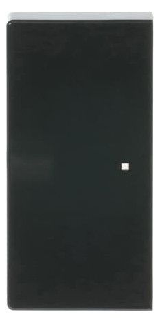 BJ 6230-20-81 Wippe 2-fach anthrazit Busch-free@home
