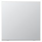 Jung AL2990 Wippe LS Aluminium