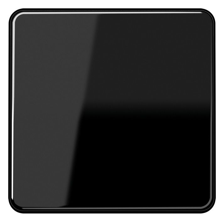 Jung CD101SW Wippe f.Taster