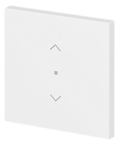 BJ 6232-10-44M Wippe 1-fach m.Symbol "Jalousie"