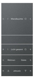 GIRA 220428 Wippenset 4fach (1+3) beschreib. System 55 Anthrazit (lack.)