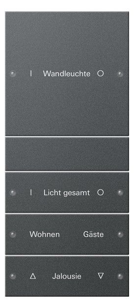 GIRA 220428 Wippenset 4fach (1+3) beschreib. System 55 Anthrazit (lack.)