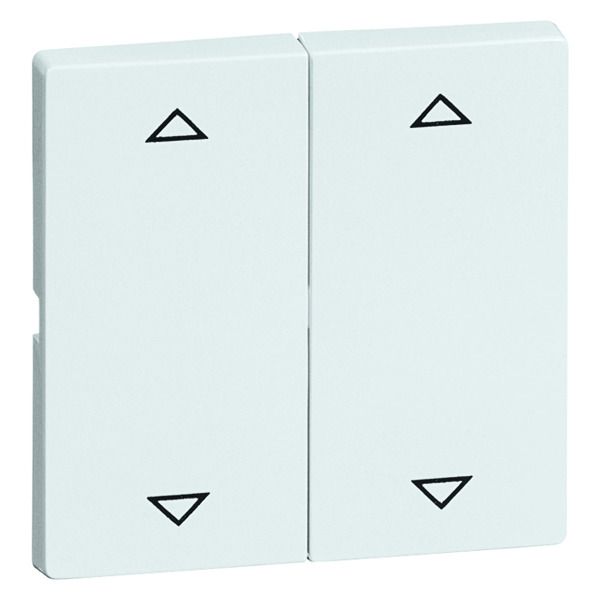 Peha D 95.244.02 T Wippe Gruppentaster reinweis Symbol Auf u. Ab 00887111