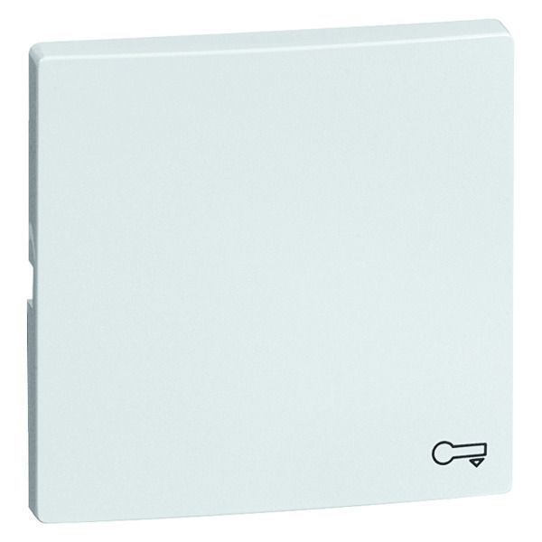 Peha D 95.540.02 T Wippe reinweis Symbol Tür 00822711