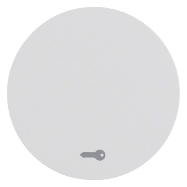 Berker 16202059 Wippe m.Aufdruck Symbol Tür R.1/R.3 polarweiß glänzend