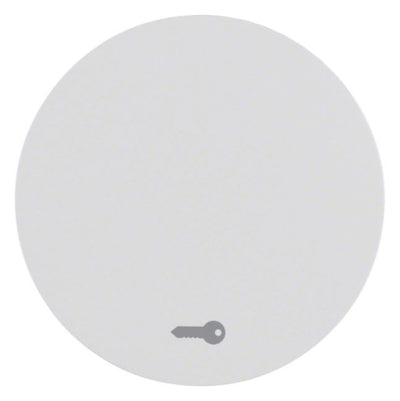 Berker 16202059 Wippe m.Aufdruck Symbol Tür R.1/R.3 polarweiß glänzend