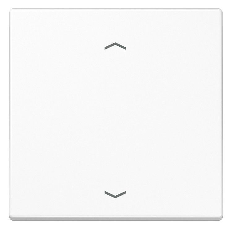 Jung LS101PWW Wippe f.Tasterpfeile