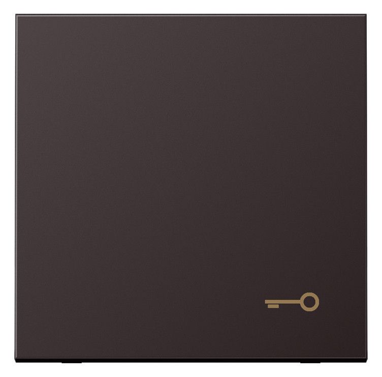 Jung AL2990TD Wippe Symbol Tür LS Aluminium dark