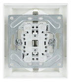 BJ 202 EUJB-884 SCHUKO® Doppelsteckdose volle Abdeckung EBS