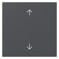 GIRA 361628 Wippe Pfeile System 55 Anthrazit