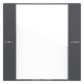 GIRA 577128 Wippenset 1f BSF Tastsensor4 System 55 Klar/Anthrazit