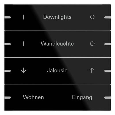 GIRA 503405 Wippenset 4fach indiv. Tastsensor4 TS4 Glas Schwarz