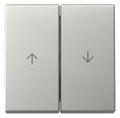 GIRA 3294600 Wippe 2fach Pfeil System 55 Edelstahl