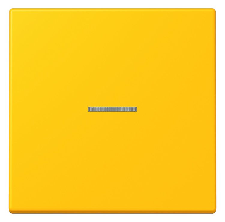Jung LC101KO5263 Wippe m.Lichtleiter f.KNX Taster 1fa
