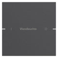 GIRA 5031928 Wippenset 1fach indiv. Tastsensor4 TS4 Alu Anthrazit (lack.)