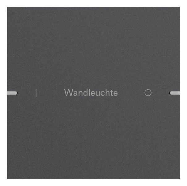 GIRA 5031928 Wippenset 1fach indiv. Tastsensor4 TS4 Alu Anthrazit (lack.)