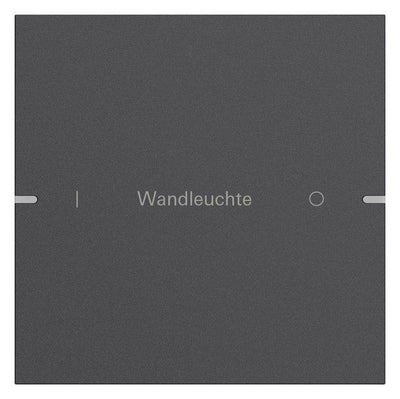 GIRA 5031928 Wippenset 1fach indiv. Tastsensor4 TS4 Alu Anthrazit (lack.)