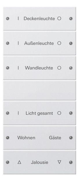GIRA 220627 Wippenset 6fach (3+3) beschreib. System 55 Reinweiß seidenmatt
