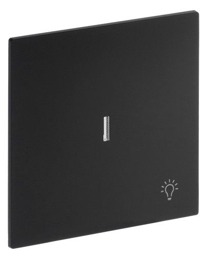 BJ 1789 LI-45M Wippe m.Symbol "Licht" m. transparenter Kalotte