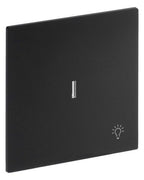 BJ 1789 LI-45M Wippe m.Symbol "Licht" m. transparenter Kalotte