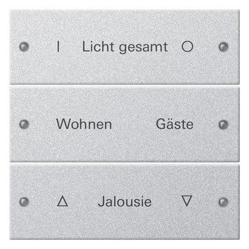 GIRA 220326 Wippenset 3fach beschreibbar System 55 Farbe Alu (lackiert)