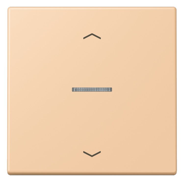 Jung LC101KO5P237 Wippe m.Lichtleiter u. Pfeilsymbolen