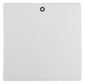 Berker 16291929 Wippe Auf 0 u.Befest S.1 IP44 pw matt