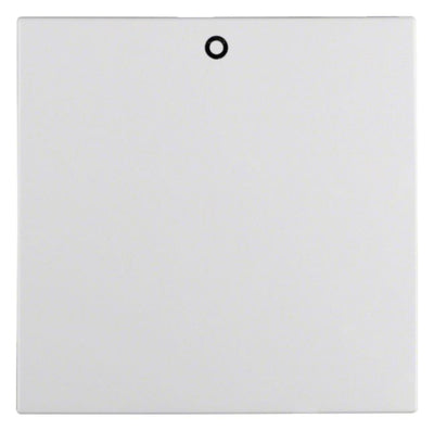 Berker 16291929 Wippe Auf 0 u.Befest S.1 IP44 pw matt