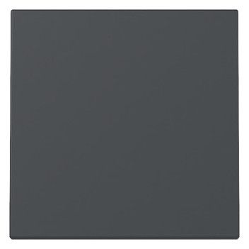GIRA 329628 Wippe System 55 Anthrazit