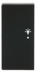 BJ 6231-21-885 Wippe/L 2f Licht schwarz matt Busch-free@home future linear