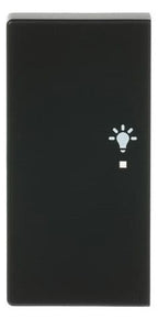 BJ 6231-21-885 Wippe/L 2f Licht schwarz matt Busch-free@home future linear