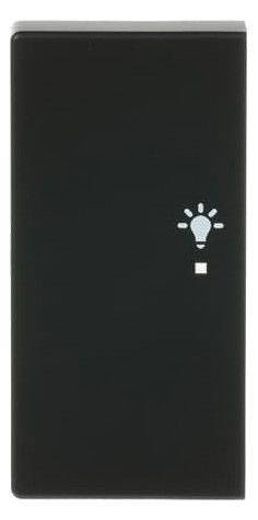 BJ 6231-21-885 Wippe/L 2f Licht schwarz matt Busch-free@home future linear