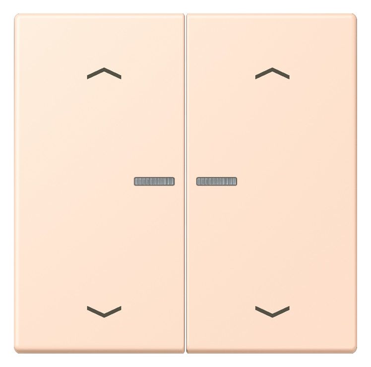 Jung LC102KO5P228 Wippe m.Lichtleiter u. Pfeilsymbolen