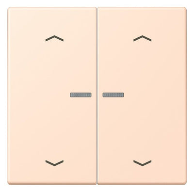 Jung LC102KO5P228 Wippe m.Lichtleiter u. Pfeilsymbolen