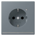 Jung LC1520-OLNW251 SCHUKO-Steckdose m.LED-Licht LC4320H