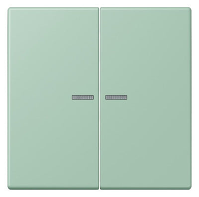 Jung LC995KO5217 Wippe f.Serienschalter KO LC32041