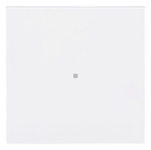 BJ 6230-10-44G Wippe 1-fach neutral o.Bedruckung