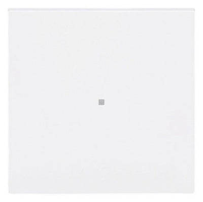 BJ 6230-10-44G Wippe 1-fach neutral o.Bedruckung