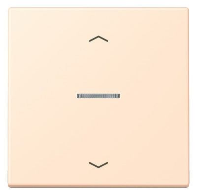 Jung LC101KO5P238 Wippe m.Lichtleiter u. Pfeilsymbolen