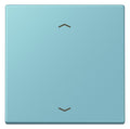 Jung LC101P213 Wippe m.Pfeilsymbolen f.KNX Taster 1