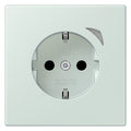 Jung BTLC1521S215 JUNG HOME SCHUKO Steckdose LC32034