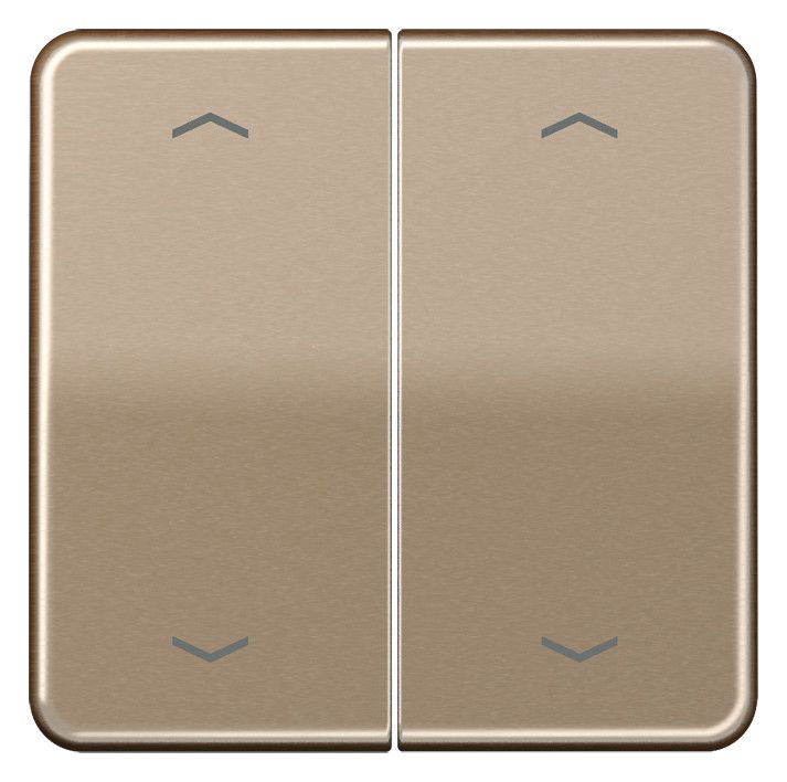 Jung CD102PGB Wippe f.Serientasterpfeile