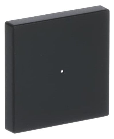 BJ 6230-10-885 Wippe 1f schwarz matt Busch-free@home future linear
