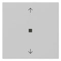 GIRA 5388015 Wippe 1fach Pfeile KF System 55 Grau matt (lackiert)
