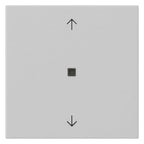 GIRA 5388015 Wippe 1fach Pfeile KF System 55 Grau matt (lackiert)