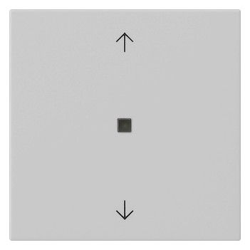 GIRA 5388015 Wippe 1fach Pfeile KF System 55 Grau matt (lackiert)