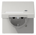 Jung LS 1520 NAKLKO LG SCHUKO-Steckdose 16A 250V Berührungs.- schutz Klappd.SF