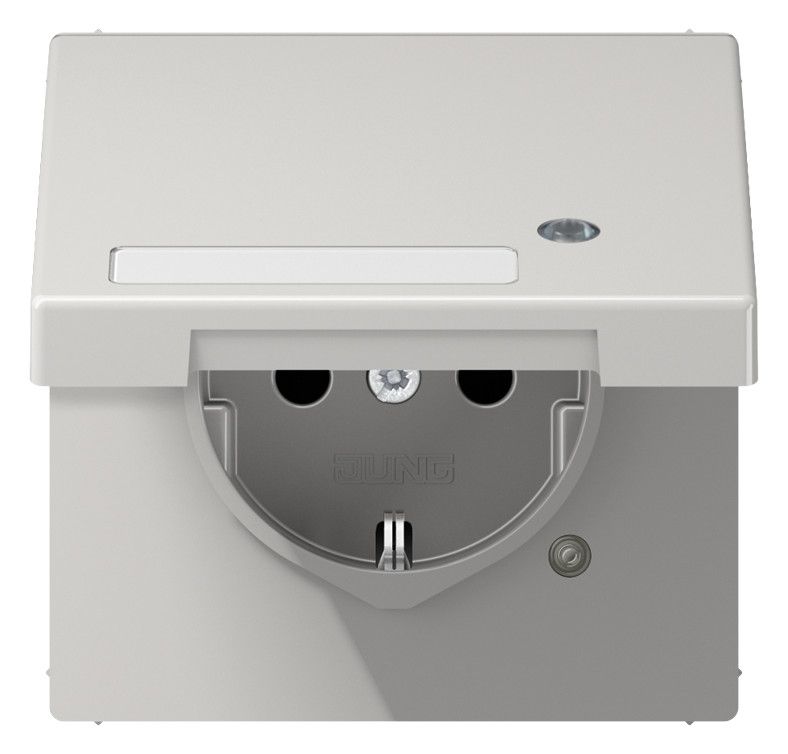 Jung LS 1520 NAKLKO LG SCHUKO-Steckdose 16A 250V Berührungs.- schutz Klappd.SF