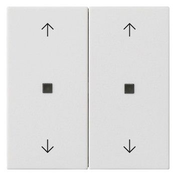 GIRA 538627 Wippe 2fach Pfeile KF System 55 Reinweiß seidenmatt
