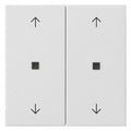 GIRA 538627 Wippe 2fach Pfeile KF System 55 Reinweiß seidenmatt